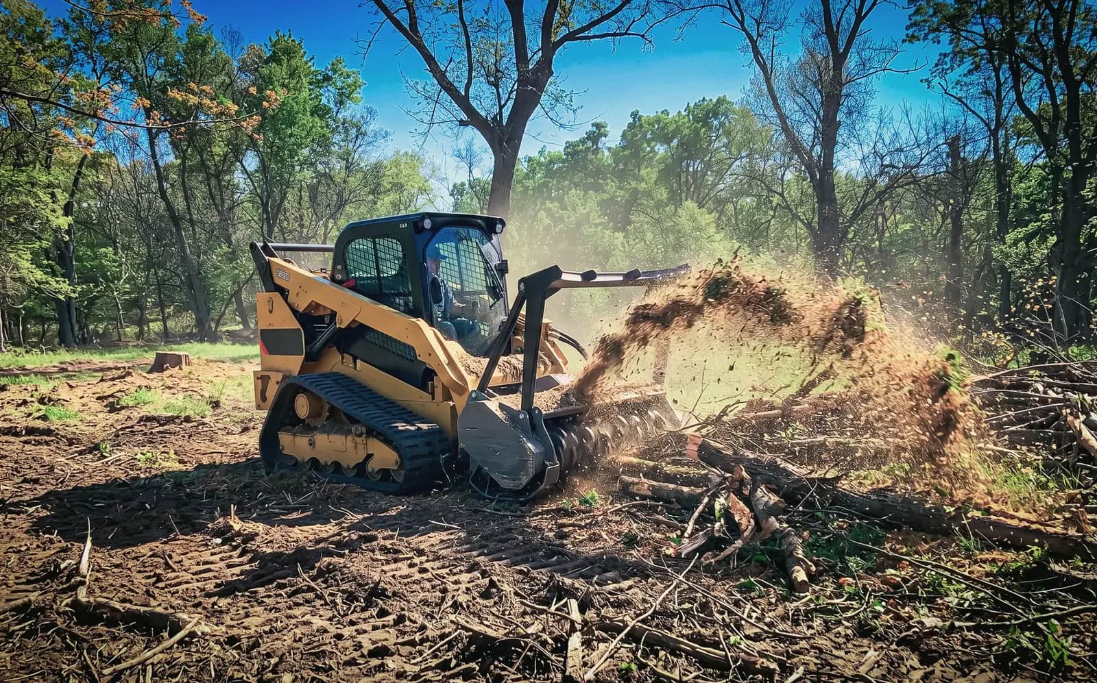 Cleared and graded lot at the treeline